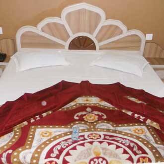 Hotel Paradise, Pachmarhi 3